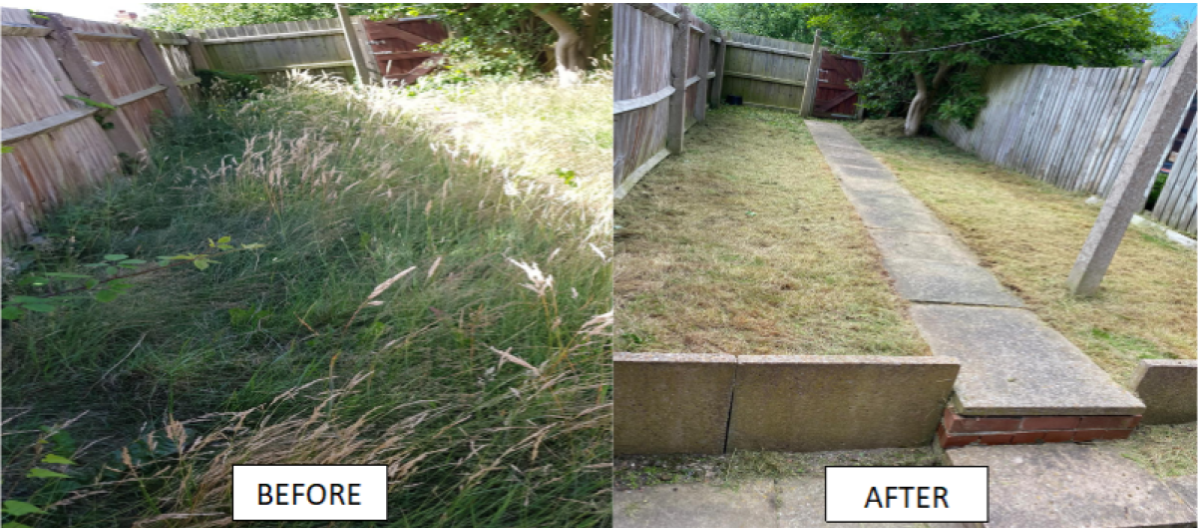 Gardener: Image 2